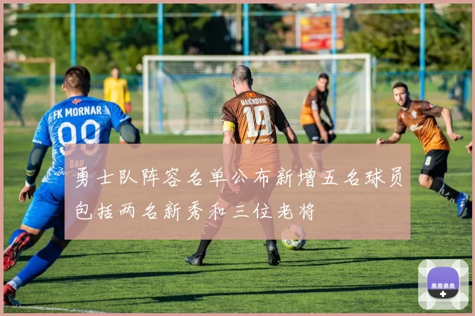 勇士队阵容名单公布新增五名球员包括两名新秀和三位老将