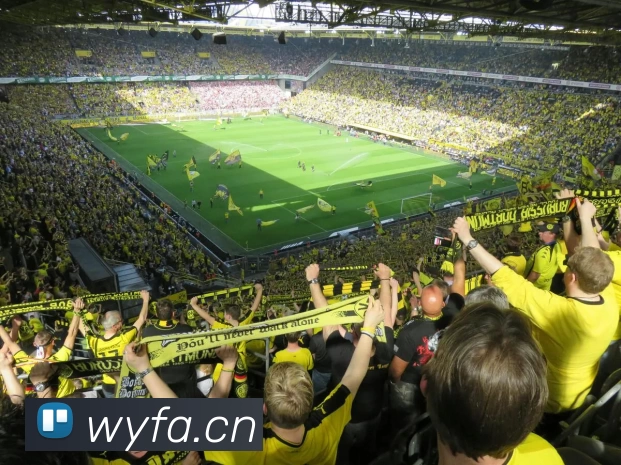 mk体育(mksports集团)股份公司服务体系